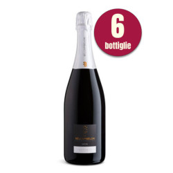 Satèn DOCG- BÈLONduBÈLON (6 bottiglie)